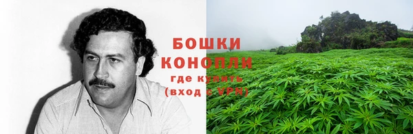 крисы Осинники