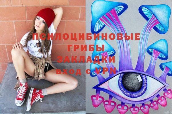 крисы Осинники