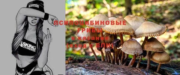 крисы Осинники