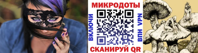 купить   Лермонтов  Псилоцибиновые грибы Psilocybine cubensis 